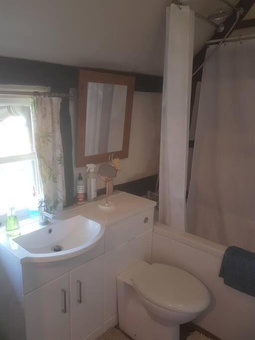 Delightful 3Bed Thatched Cottage Στόκμπριτζ Εξωτερικό φωτογραφία